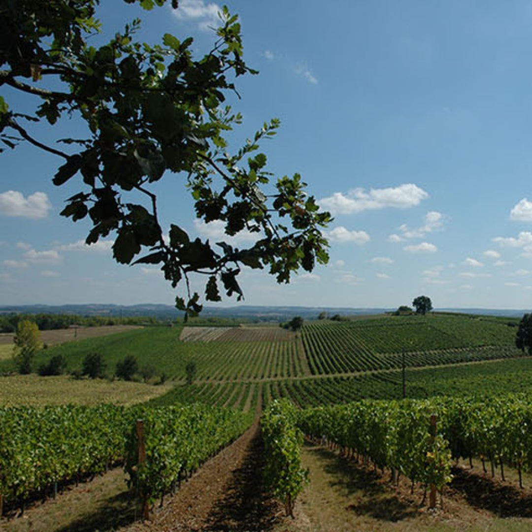 Chevalier de Rhodes Gaillac Rouge - Latitude Wine & Liquor Merchant