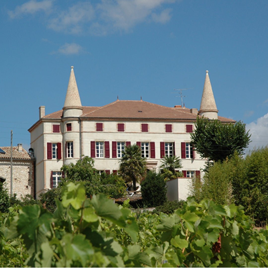 Chevalier de Rhodes Gaillac Rouge - Latitude Wine & Liquor Merchant