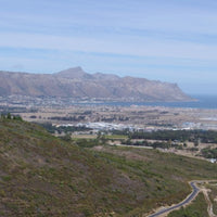 Circumstance Chenin Blanc - Latitude Wine & Liquor Merchant