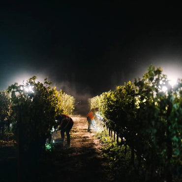 Clos du Val Chardonnay - Latitude Wine & Liquor Merchant