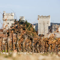 Closerie de Vaudieu Chateauneuf - de - Pape - Latitude Wine & Liquor Merchant