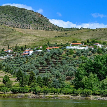 Cockburns Fine White Port - Latitude Wine & Liquor Merchant