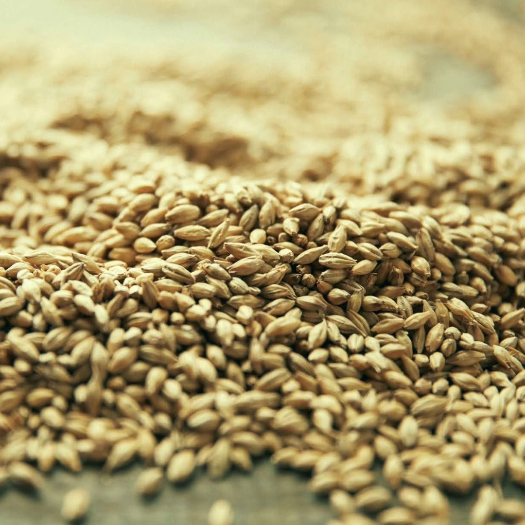 Craigellachie 13yo - Latitude Wine & Liquor Merchant