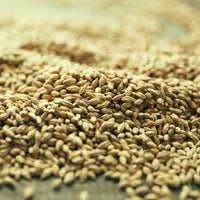 Craigellachie 13yo - Latitude Wine & Liquor Merchant