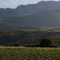 C.V.N.E Bela Roble Ribera Del Duero - Latitude Wine & Liquor Merchant
