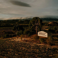 C.V.N.E Bela Roble Ribera Del Duero - Latitude Wine & Liquor Merchant