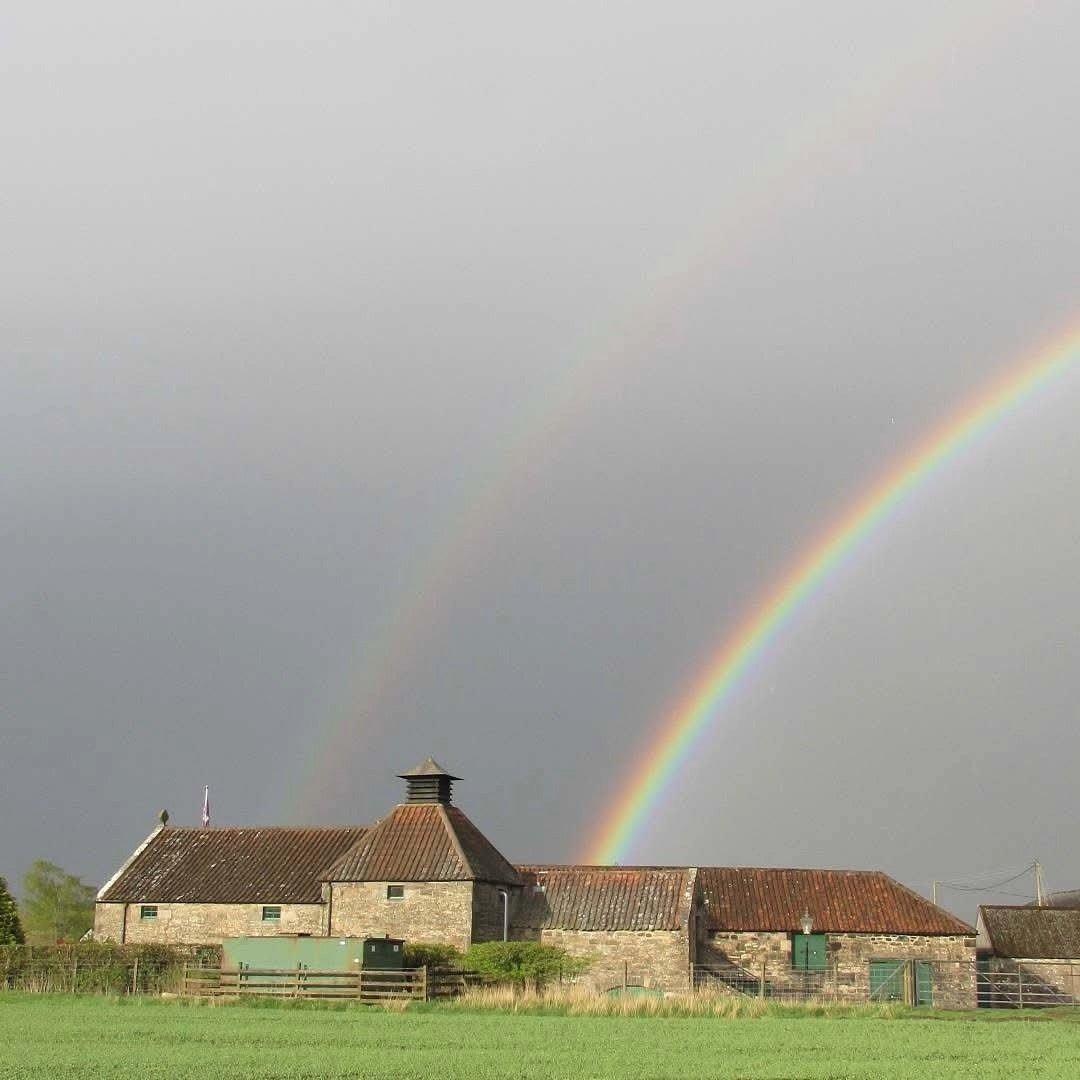 Daftmill 2024 15yo Fife Strength - Latitude Wine & Liquor Merchant