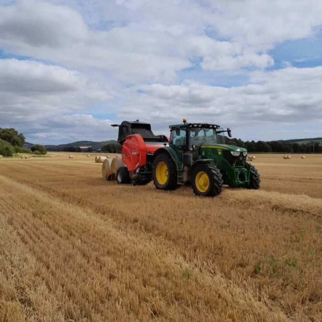 Daftmill 2024 15yo Fife Strength - Latitude Wine & Liquor Merchant