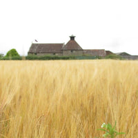 Daftmill 2024 15yo Fife Strength - Latitude Wine & Liquor Merchant