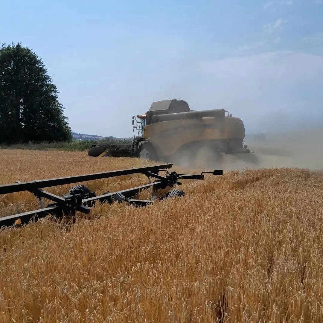 Daftmill 2024 15yo Fife Strength - Latitude Wine & Liquor Merchant