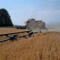 Daftmill 2024 15yo Fife Strength - Latitude Wine & Liquor Merchant