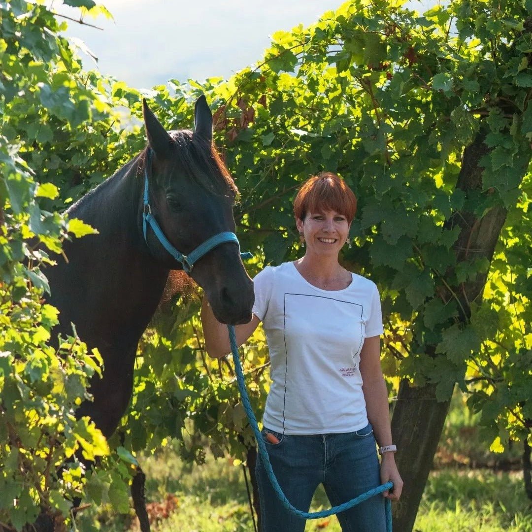 Dal Cero Amarone Della Valpolicella - Latitude Wine & Liquor Merchant