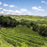 Dal Cero Amarone Della Valpolicella - Latitude Wine & Liquor Merchant