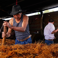 Del Maguey Vida - Latitude Wine & Liquor Merchant