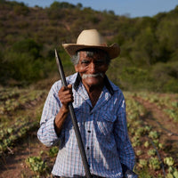 Del Maguey Vida - Latitude Wine & Liquor Merchant