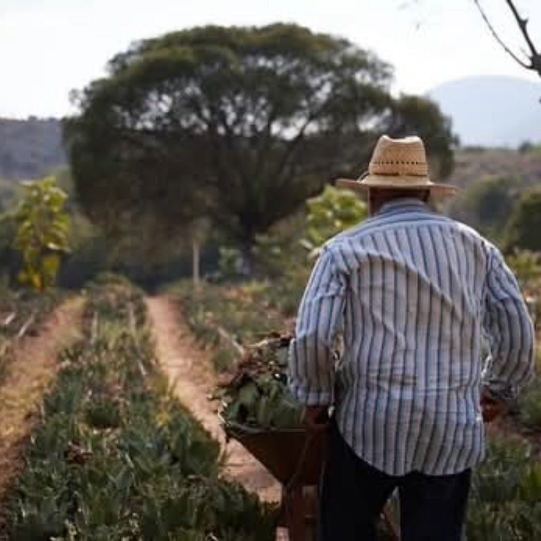 Del Maguey Vida - Latitude Wine & Liquor Merchant