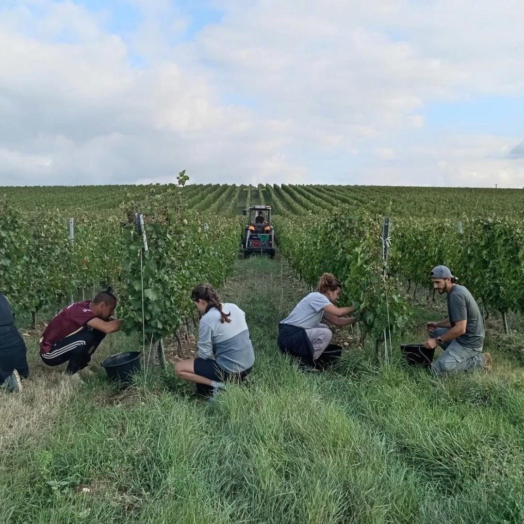 Divin Pet Nat Rose - Latitude Wine & Liquor Merchant