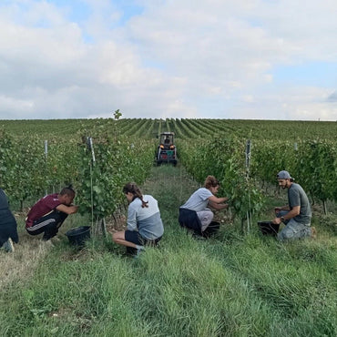 Divin Pet Nat Rose - Latitude Wine & Liquor Merchant