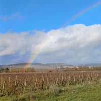 Domaine Berthelemot Pommard Village - Latitude Wine & Liquor Merchant