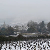Domaine Berthelemot Pommard Village - Latitude Wine & Liquor Merchant