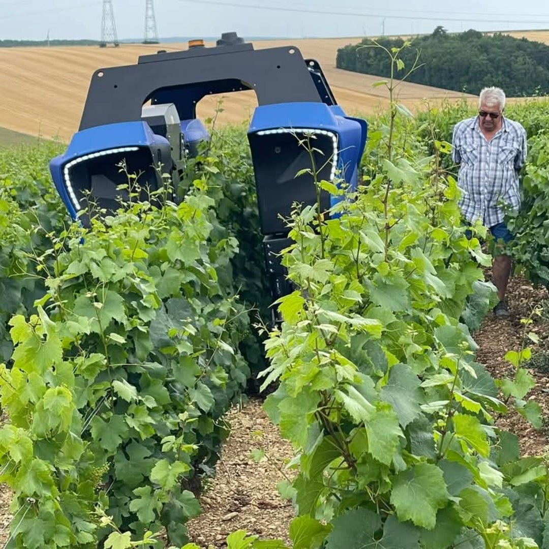 Domaine Daniel Séguinot Chablis - Latitude Wine & Liquor Merchant