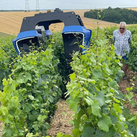 Domaine Daniel Séguinot Chablis - Latitude Wine & Liquor Merchant