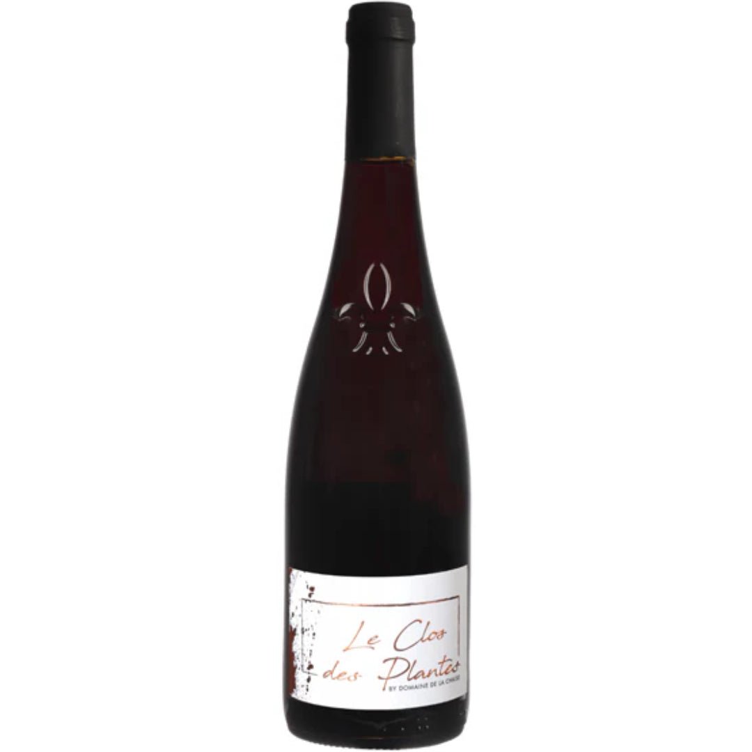 Domaine De La Chaise Gamay Le Clos Des Plantes - Latitude Wine & Liquor Merchant