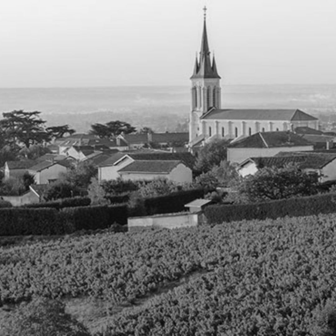 Domaine de la Creuze Noire Coteaux Bourguignons Rouge - Latitude Wine & Liquor Merchant