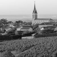 Domaine de la Creuze Noire Coteaux Bourguignons Rouge - Latitude Wine & Liquor Merchant