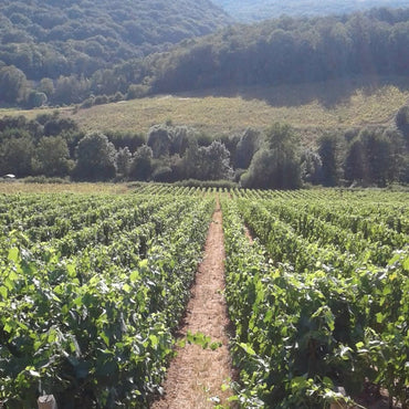 Domaine De Rochebin Bourgogne Chardonnay - Latitude Wine & Liquor Merchant