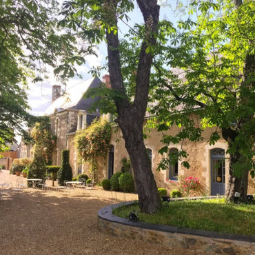 Domaine Des Baumard Clos Du Papillon Savennieres - Latitude Wine & Liquor Merchant