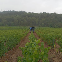 Domaine Des Deux Roches Saint - Veran - Latitude Wine & Liquor Merchant