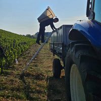 Domaine Des Deux Roches Saint - Veran - Latitude Wine & Liquor Merchant