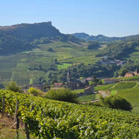 Domaine Des Deux Roches Saint - Veran - Latitude Wine & Liquor Merchant