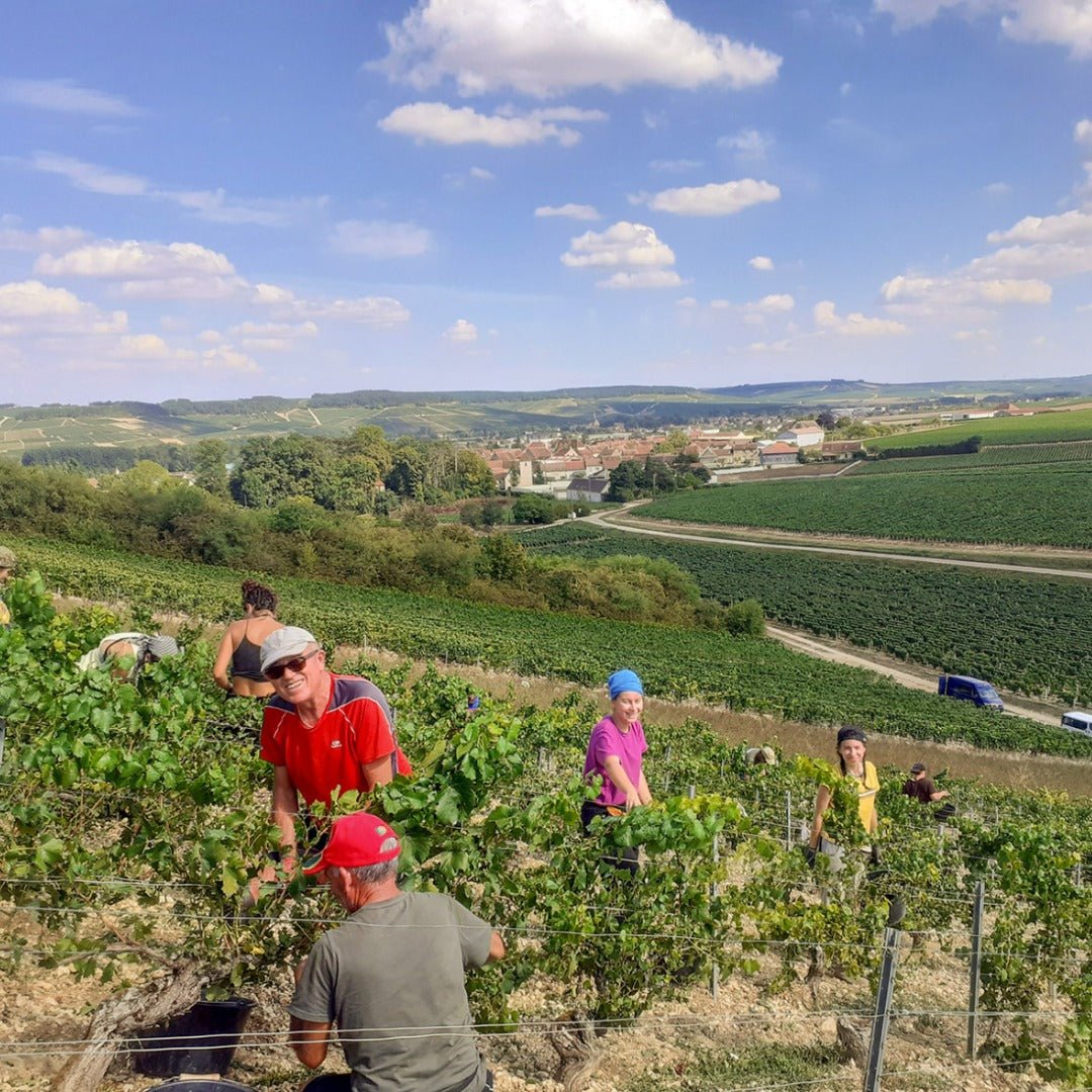 Domaine des Malandes Chablis Envers de Valmur - Latitude Wine & Liquor Merchant