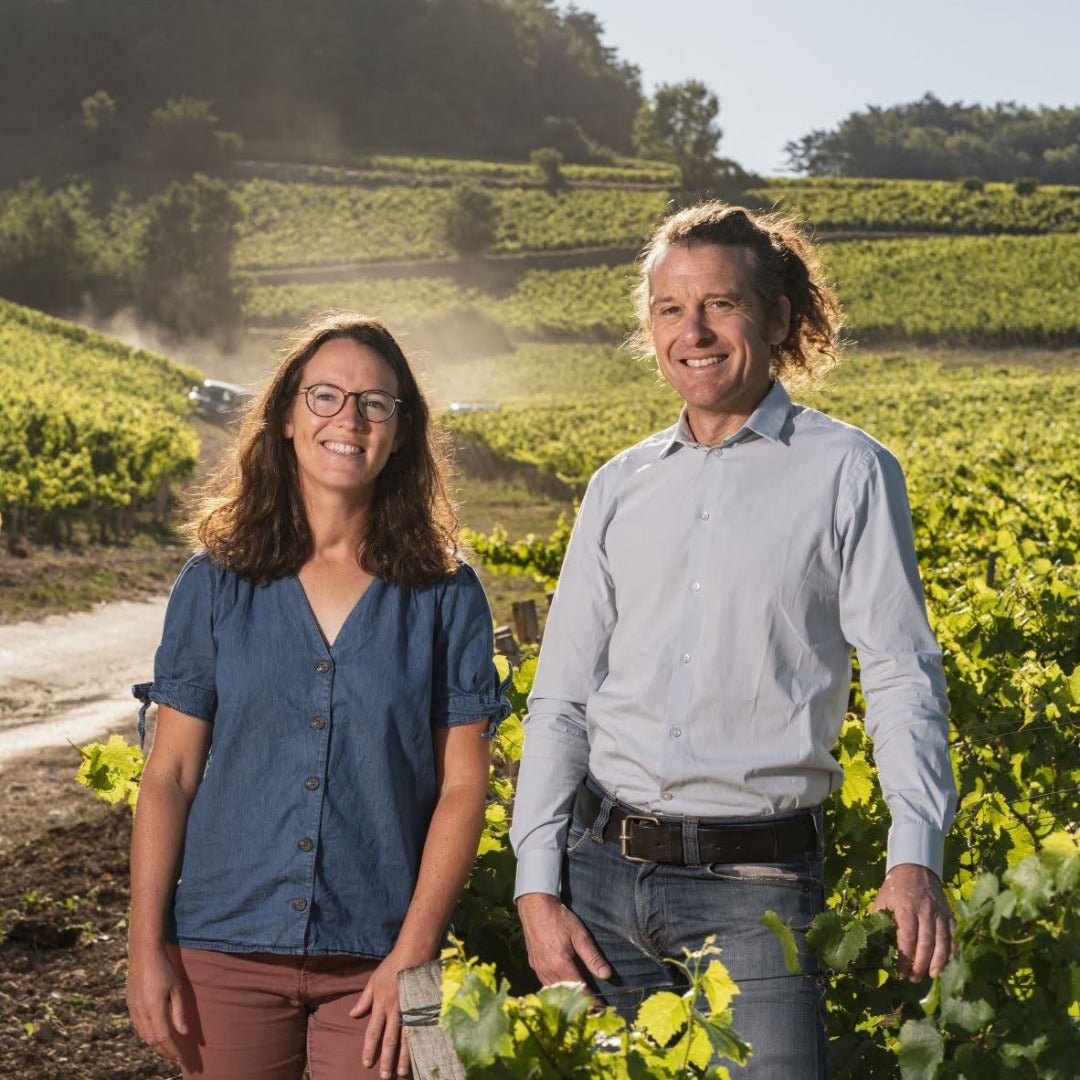 Domaine des Malandes Chablis Envers de Valmur - Latitude Wine & Liquor Merchant