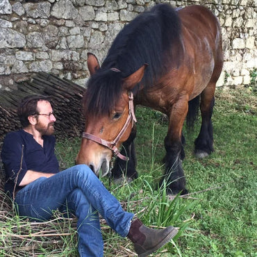 Domaine Des Roches Neuves Saumur Champigny - Latitude Wine & Liquor Merchant