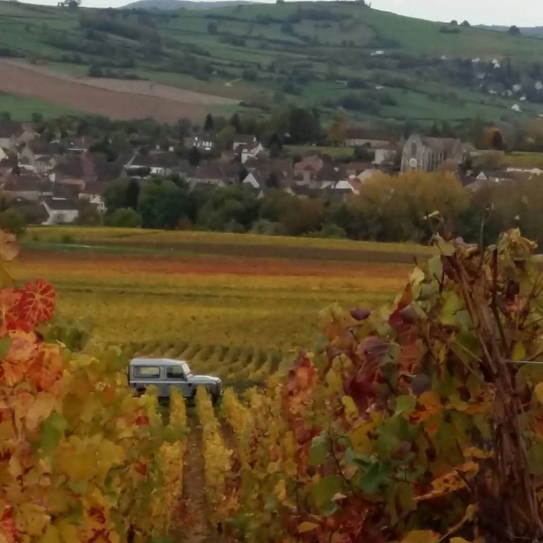 Domaine Franck Lamargue Auxey - Duresses Les Hautes - Latitude Wine & Liquor Merchant