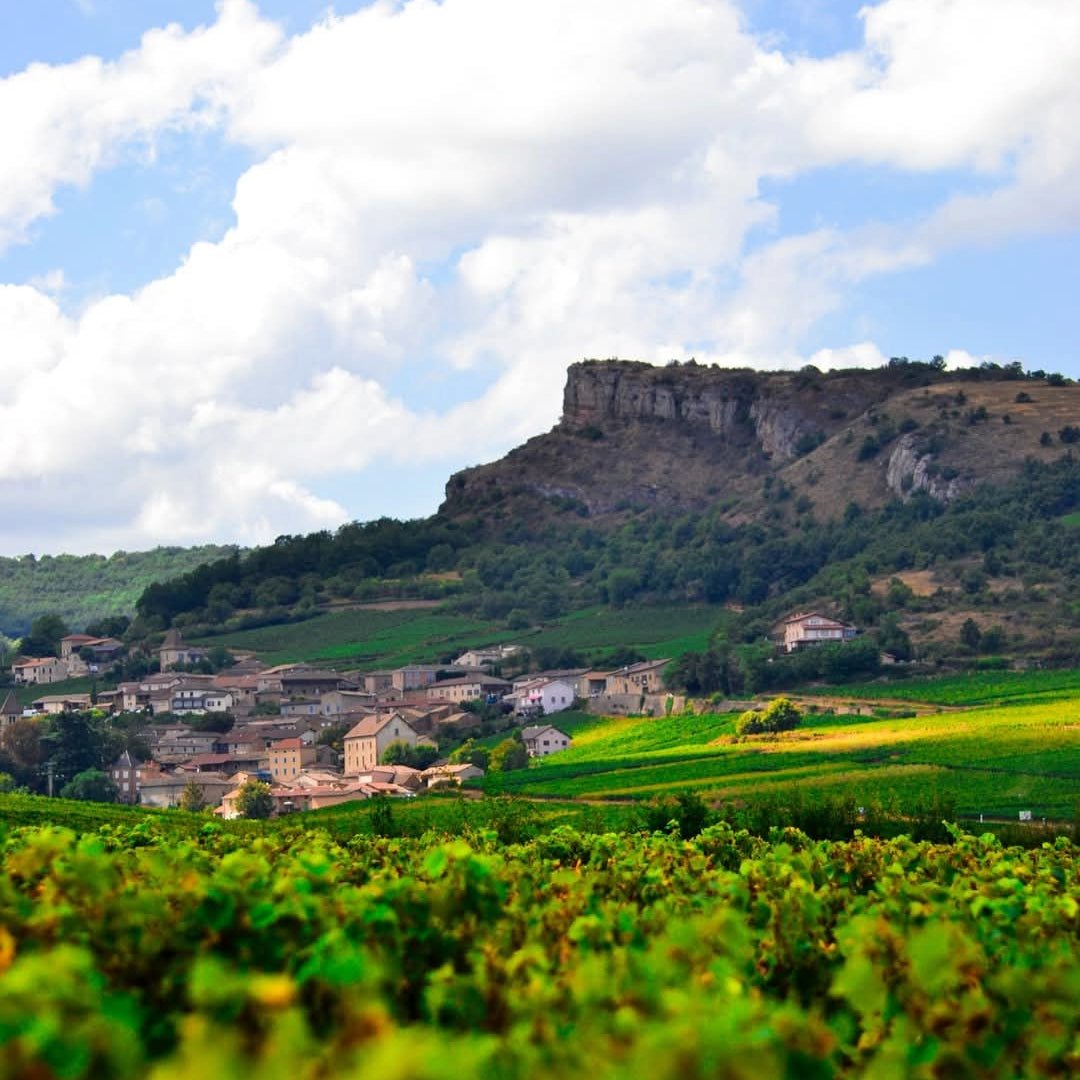 Domaine Guy Saumaize Pouilly - Fuisse Grande Reserve - Latitude Wine & Liquor Merchant