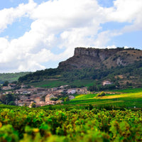 Domaine Guy Saumaize Pouilly - Fuisse Grande Reserve - Latitude Wine & Liquor Merchant