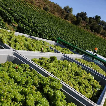 Domaine J.Laurens Cremant de Limoux Graimenous - Latitude Wine & Liquor Merchant