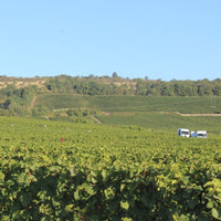 Domaine Mongeard - Mugneret Vosne - Romanee 1er Cru `Les Orveaux` - Latitude Wine & Liquor Merchant