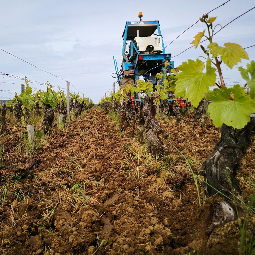 Domaine Ragot Givry Vieilles Vignes - Latitude Wine & Liquor Merchant