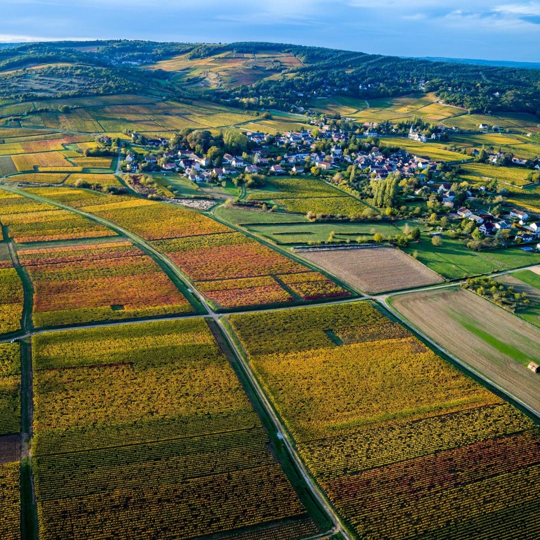 Domaine Ragot Givry Vieilles Vignes - Latitude Wine & Liquor Merchant