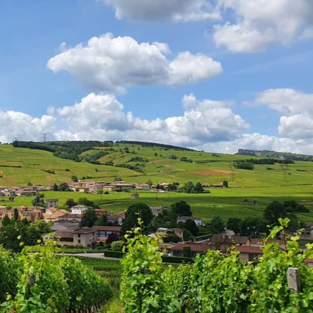 Domaine Romanin Pouilly Fuisse Tradition - Latitude Wine & Liquor Merchant