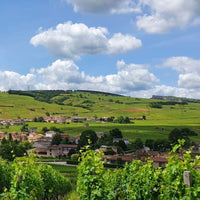 Domaine Romanin Pouilly Fuisse Tradition - Latitude Wine & Liquor Merchant