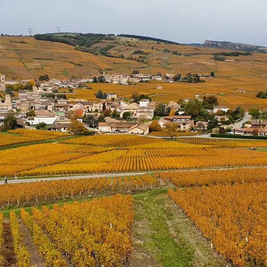 Domaine Romanin Pouilly Fuisse Tradition - Latitude Wine & Liquor Merchant