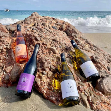 Domaine Saint - Lannes Les Peyrades - Latitude Wine & Liquor Merchant