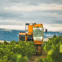 Domaine Trilles Calignan Vieille Vigne - Latitude Wine & Liquor Merchant