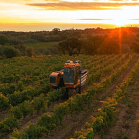 Domaine Trilles Calignan Vieille Vigne - Latitude Wine & Liquor Merchant
